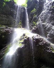 《三色宕昌 九奇官鹅》,揭秘官鹅九奇之谜