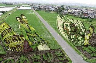 九色鹿稻田小镇,田园风光中的生态旅游胜地